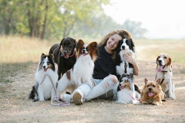 Différentes races de chiens : trouvez celle qui vous convient